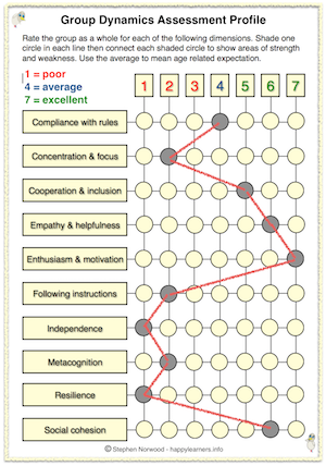 Social Dynamics Assessment Profile Example