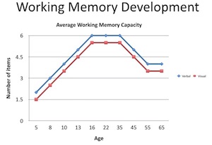 Working Memory Development